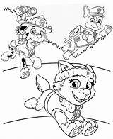 Paw Patrol Coloring Pages Nickelodeon Nick Jr sketch template
