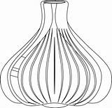 Garlic Coloring Sheet Pages sketch template