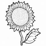 Sunflower Coloring Sunflowers Pages Drawing Adults Color Gogh Van Line Seed Drawings Sheets Seeds Ve Printable Getdrawings Template Print Sheet sketch template