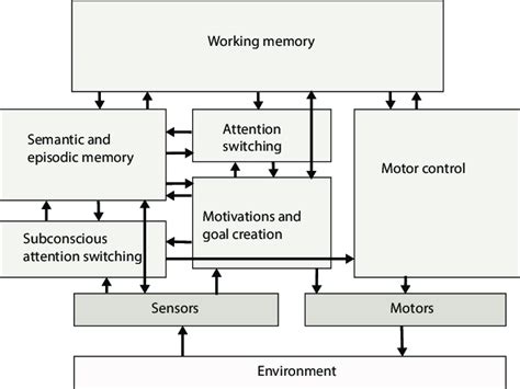general structure   considered cognitive system  scientific diagram