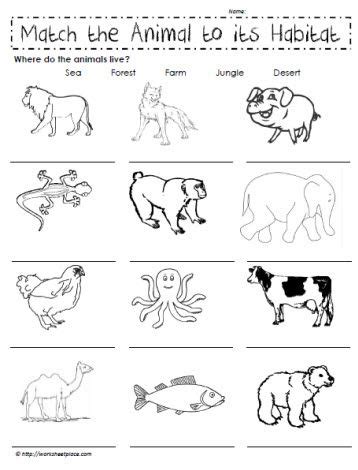 teach child   read science animal  worksheets st grade