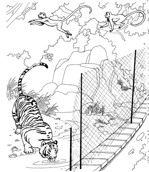 printable zoo coloring pages  kids
