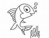 Fish Coloring Guppy Coloringcrew Pufferfish Sea sketch template