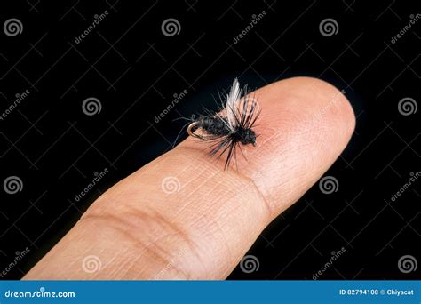 tiny fishing fly  finger tip isolated  black stock photo image  outdoors black