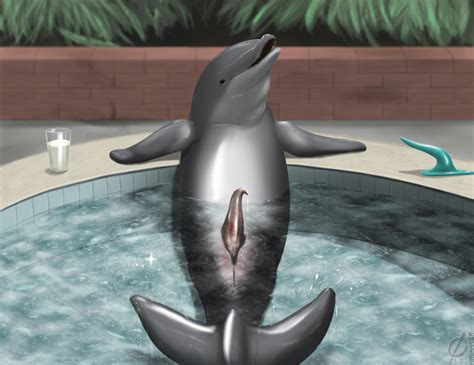 Rule 34 Anus Cetacean Dildo Dolphin Emptyset Genial Slit Grey Male