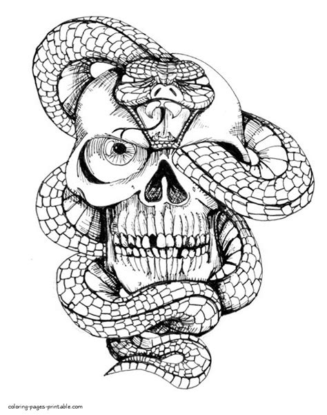 skull  snake coloring page  adults snake coloring pages skull