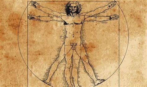 Leonardo S Vitruvian Man Ideal Isn T Far Off Modern Measures