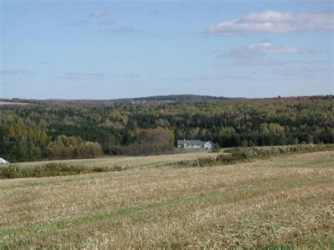 madawaska me overlooking beaulieu rd madawaska photo picture image maine at city