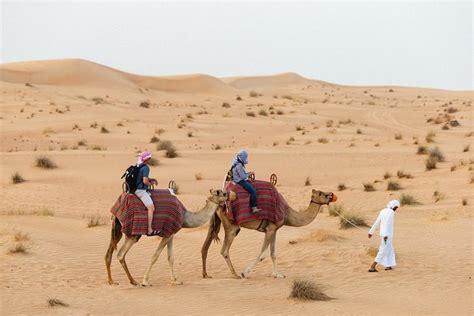 desert safari from dubai with camel ride dinner music 2023