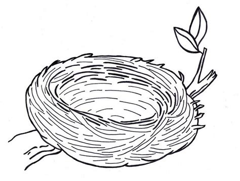 garden nest colouring pages bird coloring pages coloring eggs