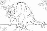 Opossum Eared sketch template