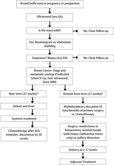A Review Of Pregnancy Associated Breast Cancer Diagnosis Local And