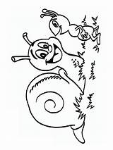 Snail Ant Caracoles Snails Loup Rigolo Caracol Hormiga Slak Slakken Hugolescargot Coloriages Animaux Dibujosparaimprimir Coloringpage sketch template