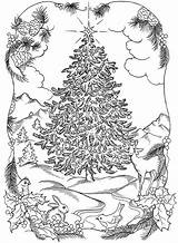 Da Coloring Pages Adult Di Christmas Colorare Libro Salvato Pagine Trees sketch template