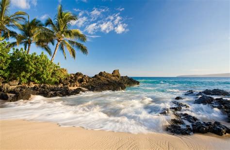 Beach Tropical Maui Hawaii Rooted In Rights