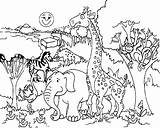 Coloring Pages Animals Savanna Animal Printable Forest Getcolorings Color Print sketch template