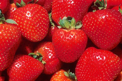 nahaufnahme von erdbeeren kostenloses stock bild public domain pictures