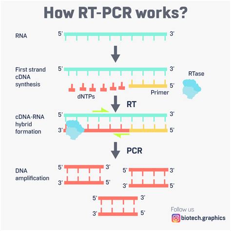time   result  rt pcr test