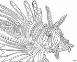 Coloring Lionfish Fish Line Lion Pages Clipart Continuous Drawing Library Colouring Rainbow Costume Outline Getcolorings Getdrawings sketch template