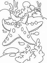 Coloring Coral Reef Starfish Pages Color Sea Fish Kids Printable Drawing Easy Print Animal Great Getcolorings Shells Getdrawings Preschool Choose sketch template