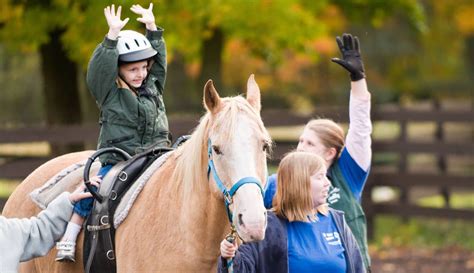 benefits  equine therapy  equestrian