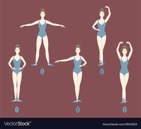 Girl Dancer Shows The Five Basic Ballet Positions Vector Image