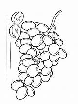 Coloring Pages Grape Fruits Grapes Recommended sketch template