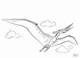 Pterodactyl Pages Colouring Part sketch template