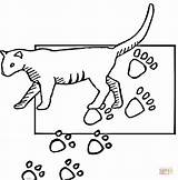 Coloring Paw Print Pages Cat Ugly Supercoloring Printable Cats sketch template