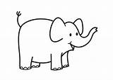 Elephant Coloring sketch template