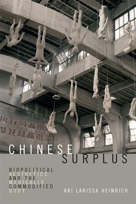 chinese surplus biopolitical aesthetics and the medically commodified
