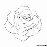 Dead Roses Rose Drawing Outline Stencil Getdrawings Flower sketch template