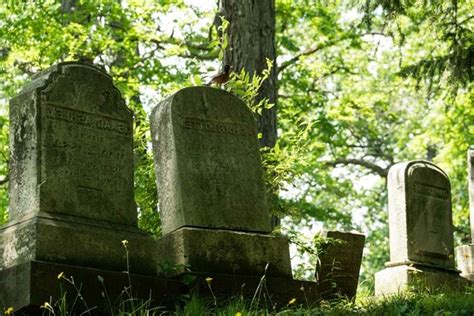 rueyada eski mezar tasi goermek ne anlama gelir guencel oku