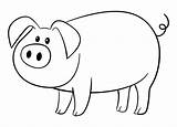 Pig Coloring Pages Simple Animal Templates Printable Template Shapes Printablee Bee Via sketch template