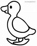Coloring Pages Duck Cute Printable Color sketch template