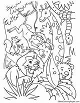 Jungle Coloring Pages Kids Animals Animal Lion Printable King Laughing Book Safari Color Sheets Adult Bestcoloringpagesforkids Themed Print Books Getcolorings sketch template