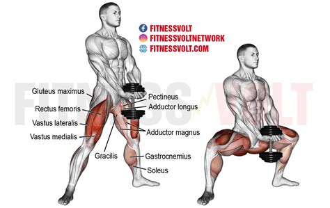 how to do the dumbbell sumo squat legs fitness volt