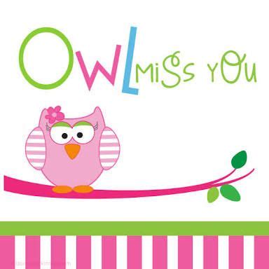 owl   google search owl   owl theme classroom