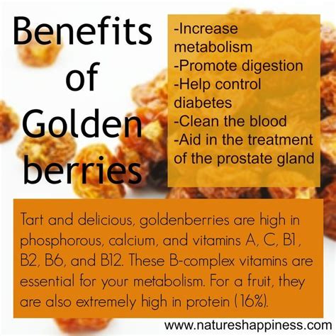 benefits of golden berries buy now health