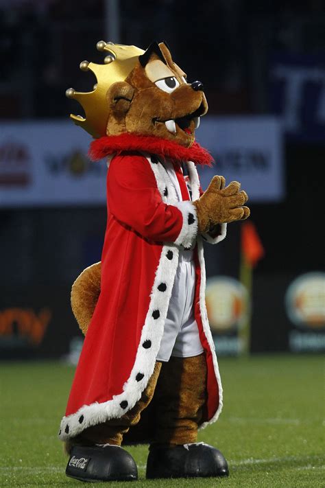 strange   terrifying world  football mascots