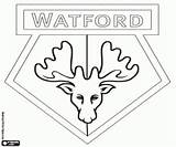 Watford Logo Fc Coloring sketch template