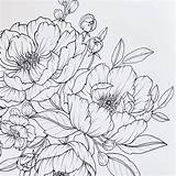 Flower Drawings Drawing Coloring Botanical Sketches Choose Board Floral sketch template