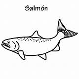 Colorear Pez Salmones Truchas Salm sketch template