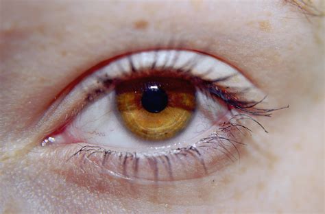 eye detailed   wherestherain  deviantart