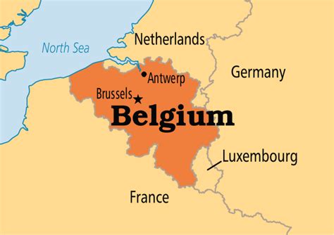 belgium probes  companies  chemical exports  syria