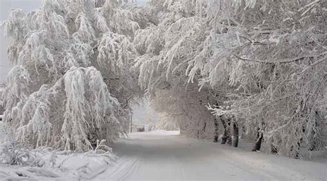 Winter Realm In Yaroslavl Russia Exclusive Hd Wallpapers