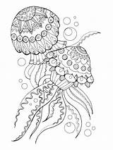 Jellyfish Zentangle sketch template