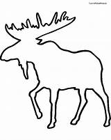 Caribou Coloriages sketch template