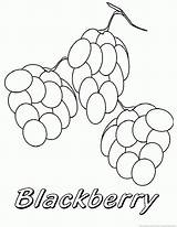 Blackberry sketch template