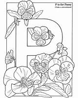 Coloring Dover Flowers Pansy Language Colored Pages Musings Inkspired sketch template